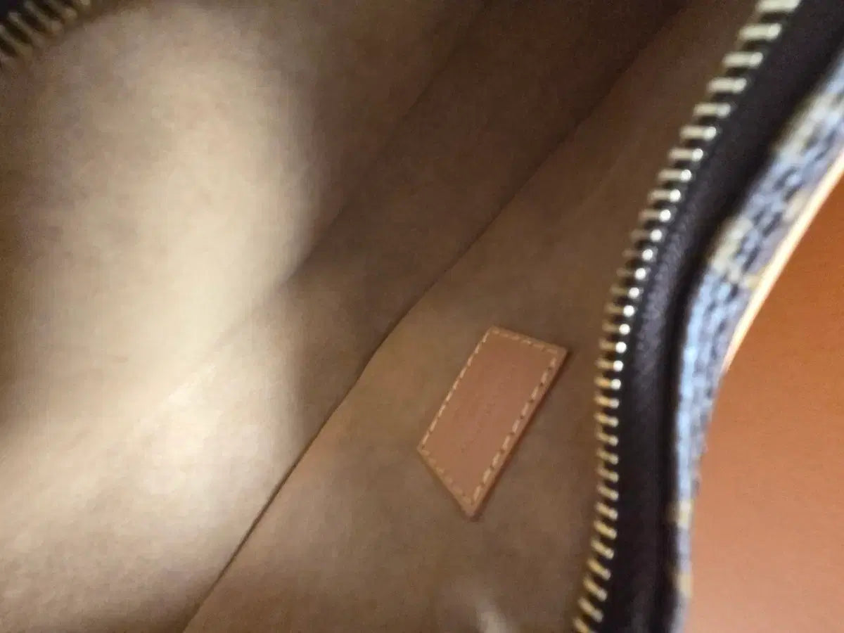 Louis Vuitton Loop Monogram Shoulder Bag