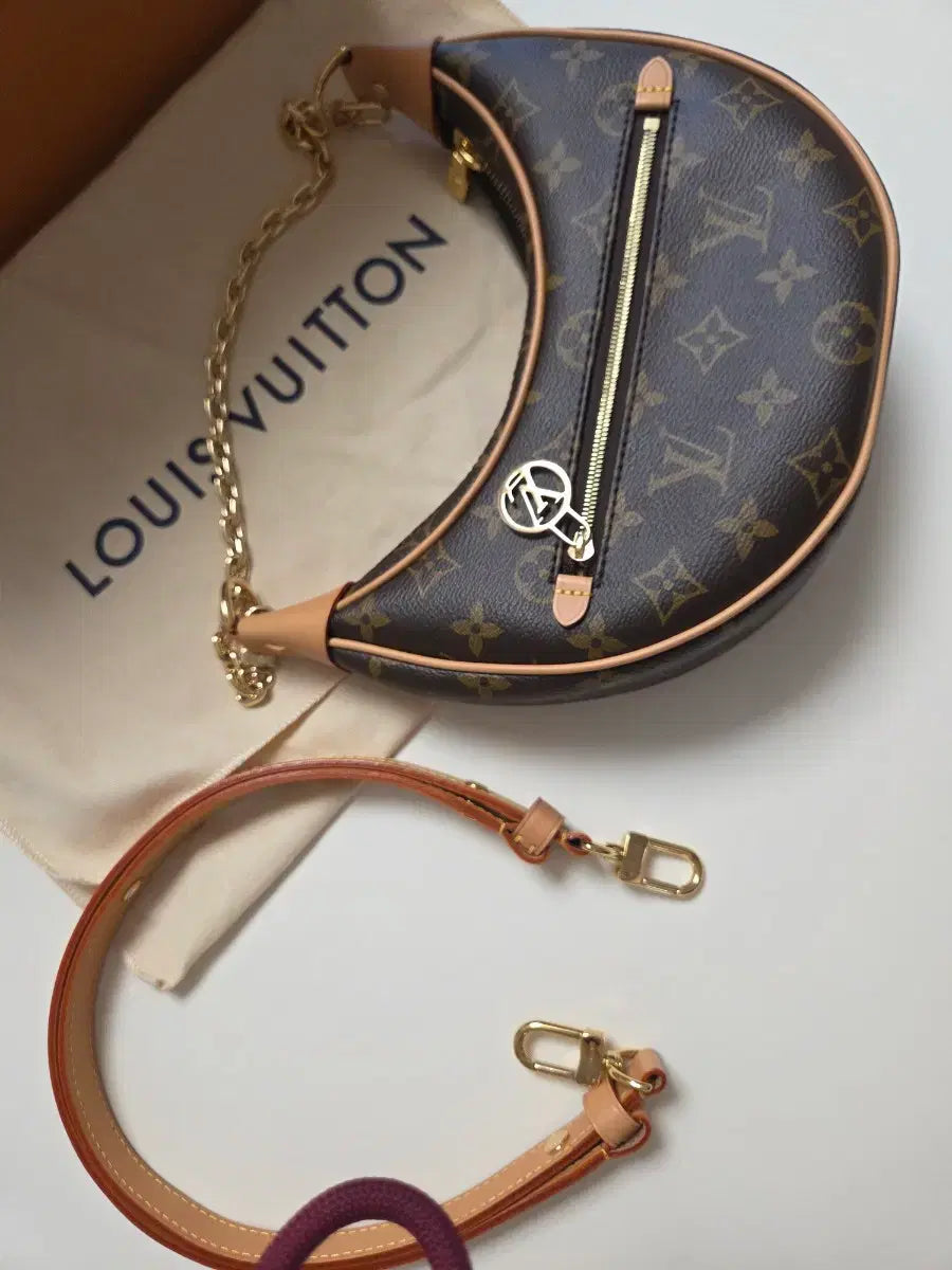 Louis Vuitton Loop Monogram Shoulder Bag