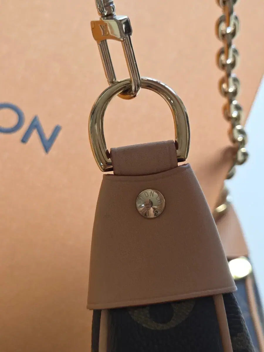 Louis Vuitton Loop Monogram Shoulder Bag