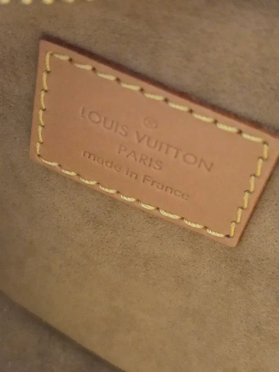 Louis Vuitton Loop Monogram Shoulder Bag