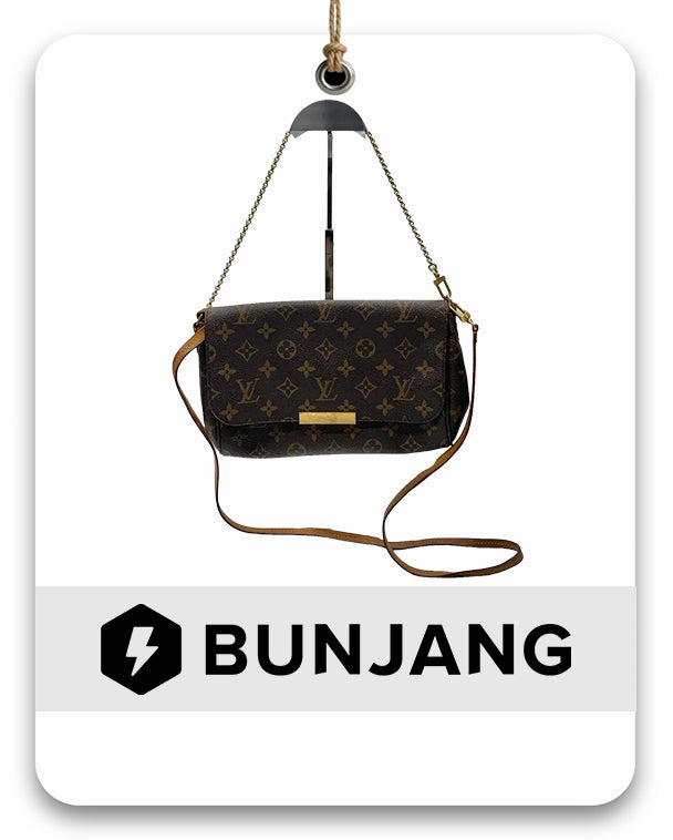 Louis Vuitton Monogram Favorite MM Shoulder Bag M40718